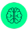 Brain (1)