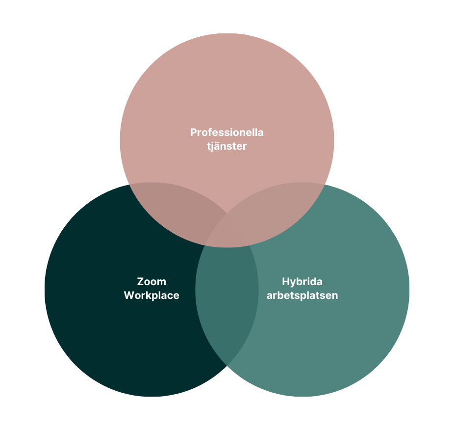 Visualiseds erbjudande (1)